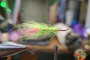 Fl. Pink Butt Chartreuse Screamer 3. 3