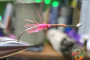 Fl. Pink Butt Chartreuse Screamer 4. 3