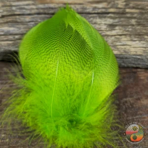 Fluorescent Chartreuse Mallard Spey, Saltwater on the Fly.