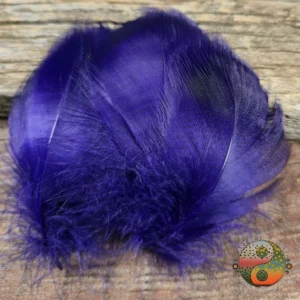 Fluorescent Purple Mallard Spey, Saltwater on the Fly.