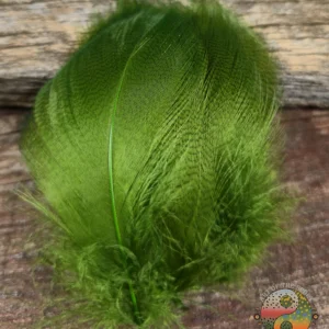Green Mallard Spey, Saltwater on the Fly.