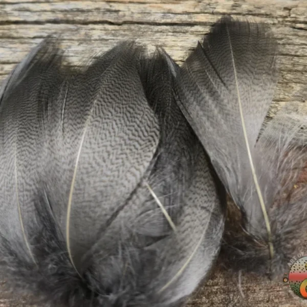 Heron Grey Mallard Spey