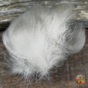 Natural Mallard Spey, Saltwater on the Fly.