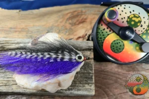 Purple Black Pelagic Forger Minnow with Grizzly Stripe Flash 1. 3 Purple Black Pelagic Forger Minnow with Grizzly Stripe Flash-Tarpon to Bass with Musky and Pike in Between, Saltwater on the Fly.