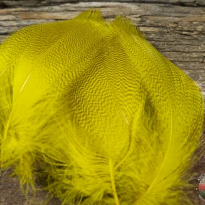 Yellow Mallard Spey, Saltwater on the Fly.