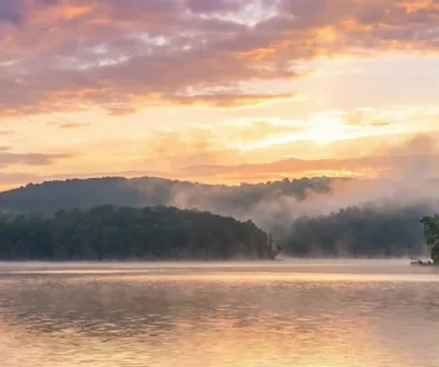 Bull Shoals Lake. That glorious, 45,000-acre beast straddling the Arkansas-Missouri border like a drunk uncle at a family reunion—half in one state, half...