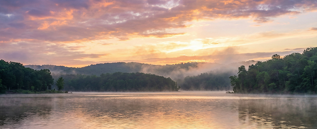 Bull Shoals Lake. That glorious, 45,000-acre beast straddling the Arkansas-Missouri border like a drunk uncle at a family reunion—half in one state, half...