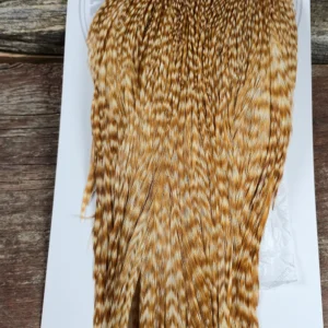 Barred Ginger Dry Fly Cape, Saltwater on the fly.