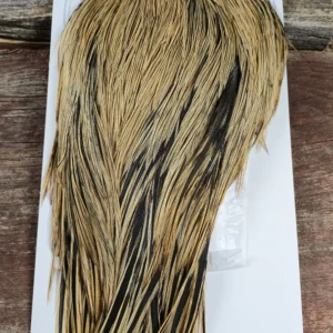 Golden Badger Dry Fly Cape, Saltwater on the fly