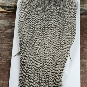 Grizzly Dry Fly Cape, Saltwater on the fly.