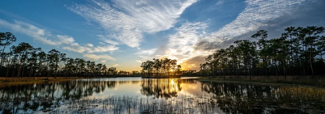 Learn how to crush it Fly Fishing for Bass in the Florida Everglades with gear tips, flies, spots, safety, and real swamp tactics