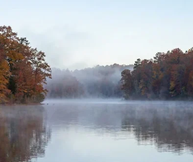 Learn Fly Fishing for Bass on Falls Lake North Carolina with flies, spots, gear, and seasonal tips for consistent big bass.