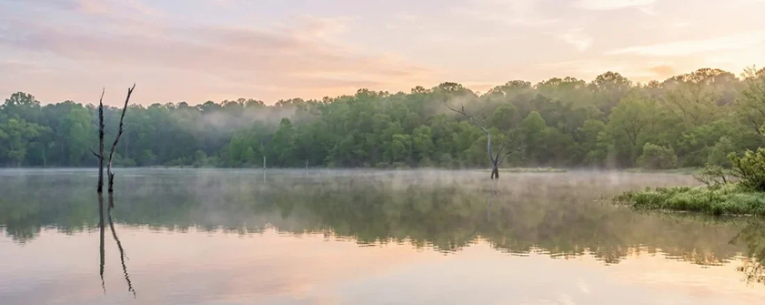 fly fishing for bass on Lake Conroe Texas offers incredible action. Learn the best flies, locations, techniques to catch trophy largemouth.