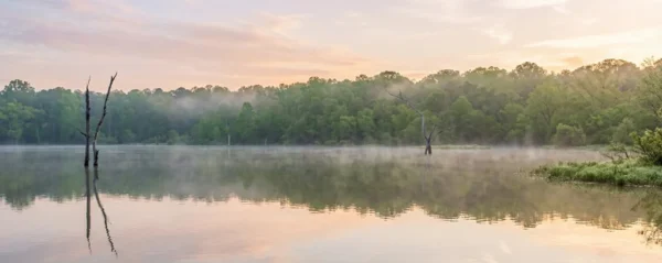 fly fishing for bass on Lake Conroe Texas offers incredible action. Learn the best flies, locations, techniques to catch trophy largemouth.