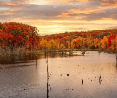 Fly Fishing for Bass on Lake Monroe Indiana made simple. Learn best seasons, flies, spots, and gear for consistent bass on the fly
