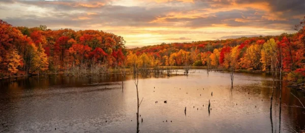 Fly Fishing for Bass on Lake Monroe Indiana made simple. Learn best seasons, flies, spots, and gear for consistent bass on the fly