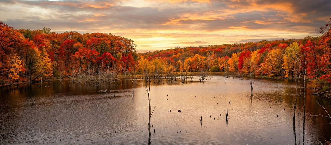 Fly Fishing for Bass on Lake Monroe Indiana made simple. Learn best seasons, flies, spots, and gear for consistent bass on the fly