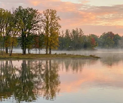 Discover the best flies, locations, and tactics for Mosquito Lake bass fly fishing Ohio. Learn how to catch trophy largemouth in this weedy paradise.