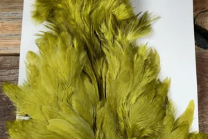 Olive Chickaboo Body Marabou Patch 1. 3 Olive Chickaboo Body Marabou Patch, Saltwater on the fly.