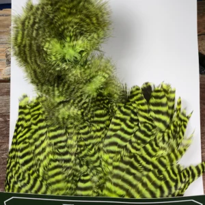 Green Chartreuse Grizzly Chickabou Body Marabou Patch, Saltwater on the Fly.