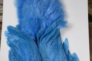 Kingfisher Blue Chickaboo Body Marabou Patch 1. 3 Kingfisher Blue Chickabou Body Marabou Patch, Saltwater on the Fly