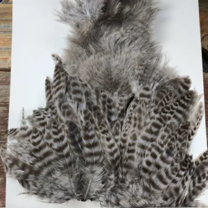 Light Dun Grizzly Chickabou Body Marabou Patch