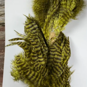 Olive Grizzly Chickaboo Body Marabou Patch, Saltwater on the Fly.