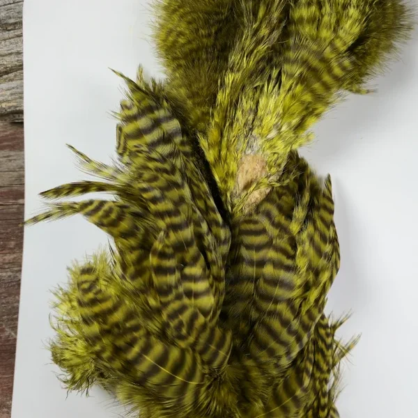 Olive Grizzly Chickaboo Body Marabou Patch