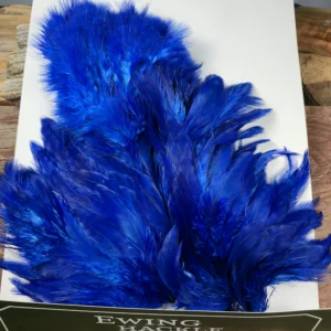 Royal Blue Chickabou Body Marabou Patch, Saltwater on the Fly.