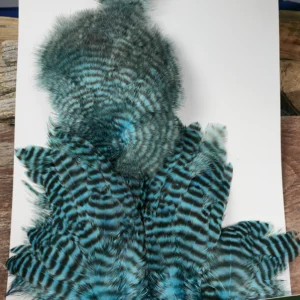 Silver Doctor Blue Grizzly Chickabou Body Marabou Patch, Saltwater on the fly.