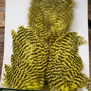 Yellow Chartreuse Grizzly Chickabou Body Marabou Patch, Saltwater on the Fly.