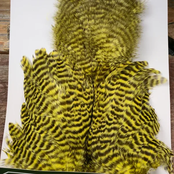 Yellow Chartreuse Grizzly Chickabou Body Marabou Patch