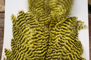 Yellow Chartruse Grizzly Chickaboo Body Marabou Patch 1. 3 Yellow Chartreuse Grizzly Chickabou Body Marabou Patch, Saltwater on the Fly.