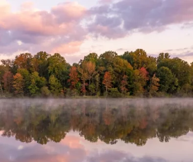 Fly Fishing Bass on Clarks Hill Reservoir made simple with flies, spots, gear, and seasonal tips for this huge GA SC lake