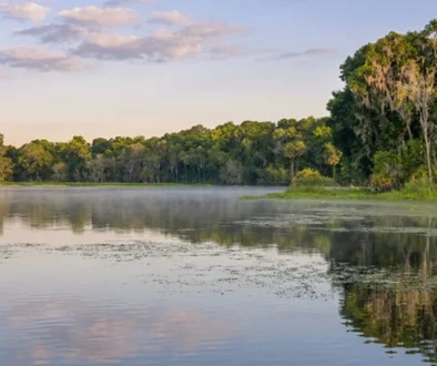 This expansive body of water is renowned for its diverse fish species and the unique challenges presented by its dense aquatic vegetation