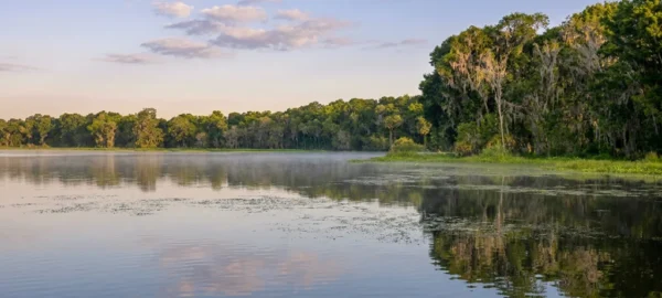 This expansive body of water is renowned for its diverse fish species and the unique challenges presented by its dense aquatic vegetation