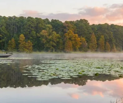 Explore the thrill of fly fishing bass at Toledo Bend Reservoir, a premier destination for anglers seeking adventure.
