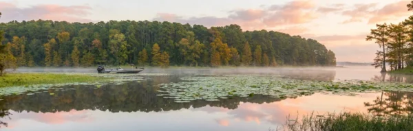 Explore the thrill of fly fishing bass at Toledo Bend Reservoir, a premier destination for anglers seeking adventure.