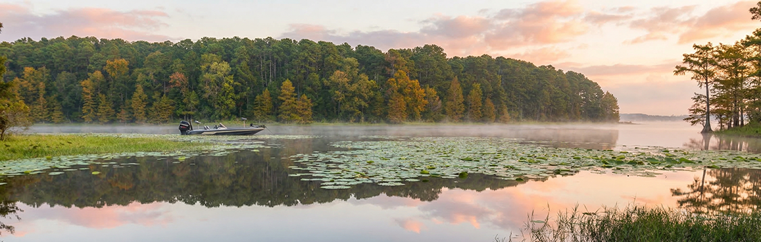 Explore the thrill of fly fishing bass at Toledo Bend Reservoir, a premier destination for anglers seeking adventure.