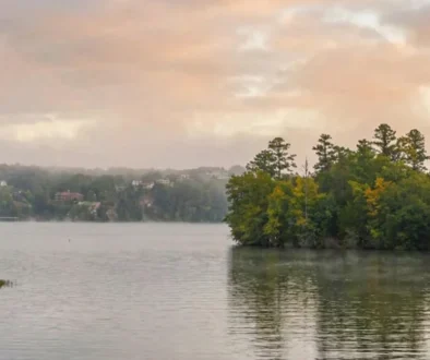 Fly fishing bass on pickwick lake Tennessee, including frequently asked questions, final cast: making memories on the water, and more.
