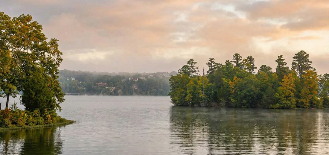 Fly fishing bass on pickwick lake Tennessee, including frequently asked questions, final cast: making memories on the water, and more.