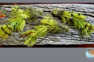 N. Coast Dungeons Olive 6. 3 Olive Sex Dungeon articulated fly pattern, saltwater on the fly.