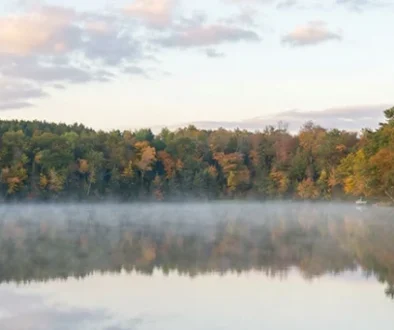 Plan your Pelican Lake Bass Fly Fishing Wisconsin trip with this detailed guide on gear, spots, seasons, and rules for fly anglers
