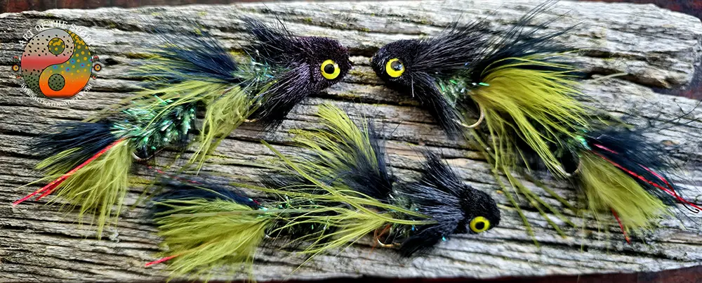 Black Olive Dungeon, bass, trout,