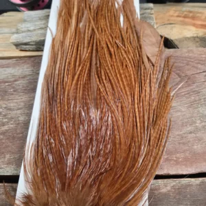 Ewing Hackle Coachman Brown Bomber Saddle, Saltwater on the fly.
