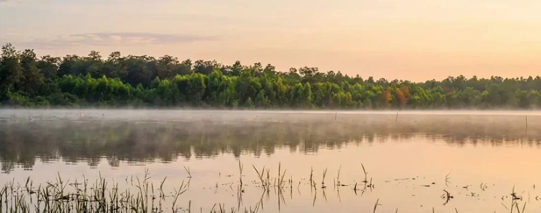 Conventional tackle fishing at Orange Lake Florida — largemouth bass, crappie, bluegill, shellcrackers, bowfin, and more. Hot spots, top lures, seasonal tactics, and gear breakdowns from people who've actually caught fish here. No filler. Just fish.