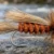 Improved Sofa Pillow 1. 3 The salmonfly hatch waits for no one. Step-by-step tying instructions for the Improved Sofa Pillow and Bird's Stonefly — Montana's most trusted stonefly dries.