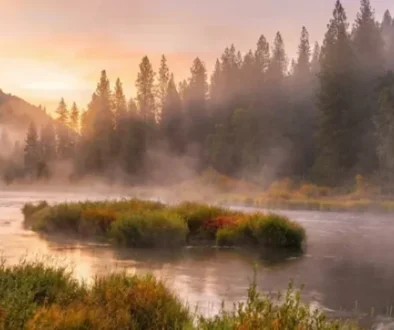 Klamath River Chinook Are Back — And California Is Finally Opening the Gates The ocean salmon season you've been waiting three years for is here. Don't blow it.