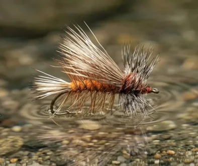 Mike Lawson refined the Bird's Stone for the Henry's Fork. Kaufmann built the Stimulator for every hatch. Step-by-step tying instructions for both.