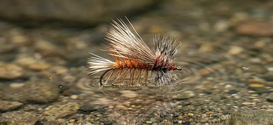 Mike Lawson refined the Bird's Stone for the Henry's Fork. Kaufmann built the Stimulator for every hatch. Step-by-step tying instructions for both.